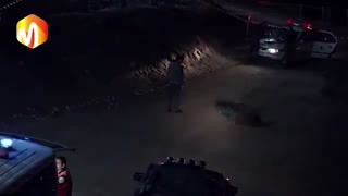 بررسی فیلم نگار
