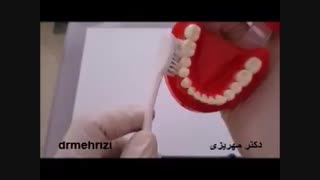 آموزش بهترین روش مسواک زدن ( Bass Techniqe )