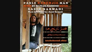 دانلود آهنگ جدید سعید سرمدی به نام فصل نارنجی من