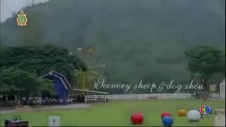 سریال تایلندی  قدرت خورشید قسمت 6 - Raeng Tawan 2016با زیرنویس فارسی