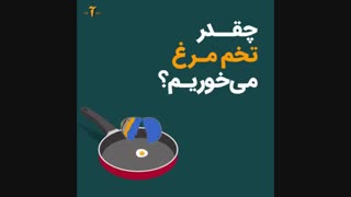 تخم مرغ از چه چیزی تشکیل شده؟ چقدر تخم مرغ بخوریم؟