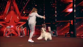 نمایش فوق العاده زیبای سگ ها در سوپر تلنت 2017 آلمان