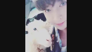 در این لحظه من اعلام میکنم: گوسفند هم شانسش از ما بیش تره