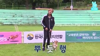 قسمت 23 Run BTS  بی تی اس +زیرنویس فارسی run 23