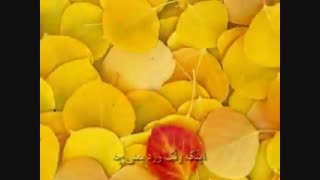 یک روز می فهمی...سروده: استاد مرتضی کیوان هاشمی  دکلمه: پیام بخشعلی