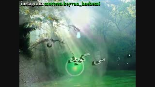 خدای گرگها...سروده و دکلمه استاد مرتضی کیوان هاشمی