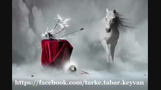 قرار...سروده و دکلمه استاد مرتضی کیوان هاشمی