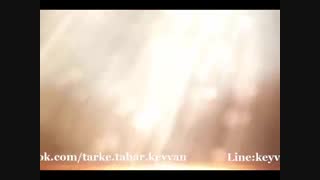 خطبه...سروده و دکلمه استاد مرتضی کیوان هاشمی