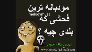 مودبانه ترین فحشی که بلدین چیه؟؟؟