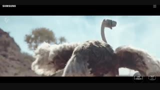 هرآنچه نمی توانی انجام بده (سامسونگ )