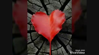 جالب و خواندنی+ت