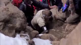 هنوز هم ناسپاسی .....پس حرکت کن