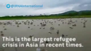 روهینگیا مسلمانان برمه