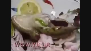 غذاهایی که زنده سِرو می‌شوند