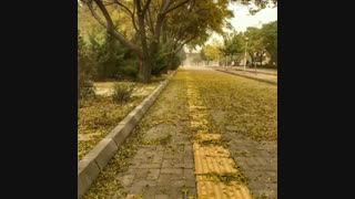 دانشکده ام پریمدونا شده....