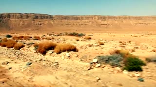 آدرس اشتباهی از شرافت!