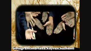 باغ ما سروده و دکلمه استاد مرتضی کیوان هاشمی