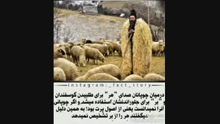 *هر* را از *بر* تشخیص دادن یعنی چی؟!:://// دانستنی...