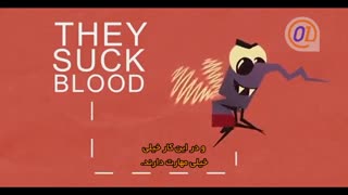 پشه ی نفرت انگیز و مرگ آور