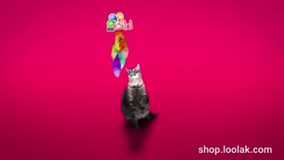 اسباب بازی گربه - پیشولانه