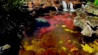 رودخانه ای زیبا و غیر قابل باور در کلمبیا