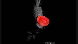 سینگلا دستا بالا