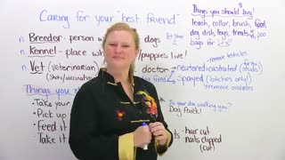 درس 1224 - مجموعه آموزش زبان انگلیسی EngVid