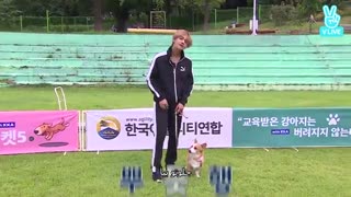 برنامه Bts _Run _قسمت بیست و سوم (با زیرنویس فارسی_چسبیده)