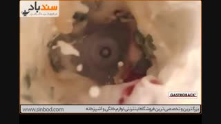 مخلوط کن گاستروبک - فروشگاه سندباد www.sinbod.com