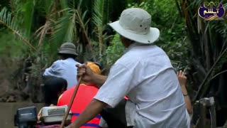 دیدنیهای جذاب تور ویتنام