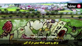 هنر نقاشی در مزرعه برنج