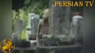 پنج موجود فضایی واقعی که توسط دوربین فیلم برداری شده