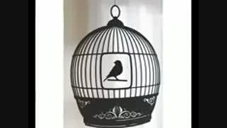 فریب درختان سروده استاد مرتضی کیوان هاشمی دکلمه پیام بخشعلی