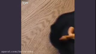 سه دسر خوشمزه با سیب