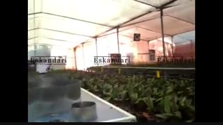 هیتر نصب شد در گلخانه تهران - روستای کولین