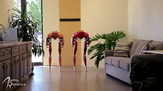 Cassie روبات متحرک دو پا