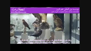 دانشگاه زوریخ - تحصیل در سوئیس