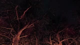 با بازی Nightfall - Life is Feudal آشنا شوید