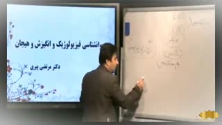 ساختار مغز و دستگاه عصبی مرکزی - دکتر پیری