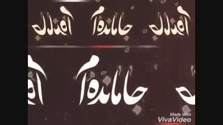 امسال هم سفر پسر فاطمه نشدیم