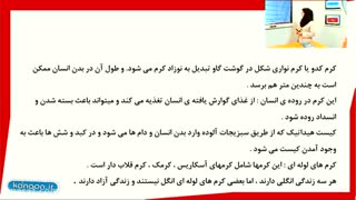 آموزش فصل سیزدهم علوم نهم