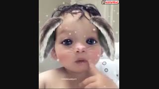 حیوون خونگی از این بهتر مگ داریم؟؟!!