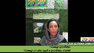 هنر توسعه فضای سبز عمودی