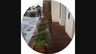 پروژه بام سبز شرکت آرین سعید