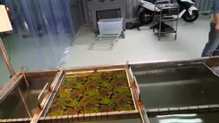 دستگاه مخمل پاش 09127692842