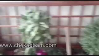 پروژه تراس سبز در تهران
