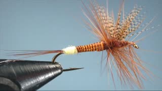 بهترین طعمه ماهیگیری با قلاب