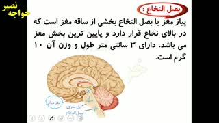 آموزش درس چهارم علوم نهم