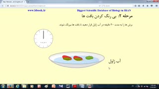 نحوه رنگ آمیزی بافت های گیاهی. زیست دهم