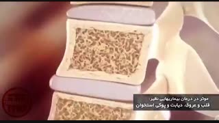 تیزر تبلیغاتی شرکت صوی کام برای روغن کنجد با ماشین آلات توان صنعت